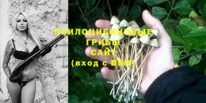 сколько стоит  Стрежевой  blacksprut tor  Галлюциногенные грибы Magic Shrooms 